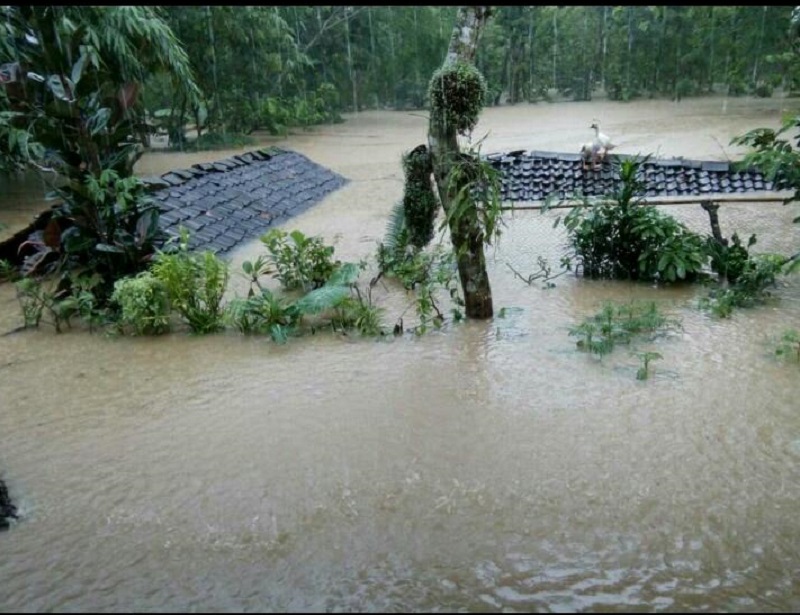 Image Result For Banjir Hari Ini Image Result For Banjir Hari Ini
