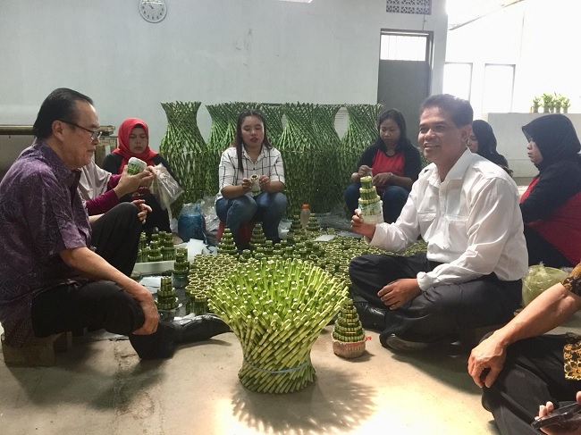 Kementan Dorong Budidaya  Tanaman Hias Bambu  Suji  dan Lidah 