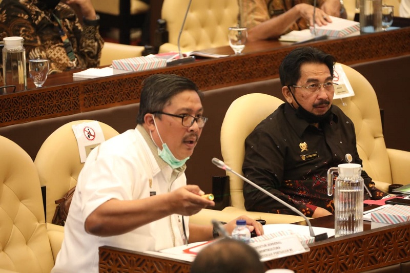 Komisi IV DPR RI Apresiasi Program Jangka Panjang Kementan - IndependensI