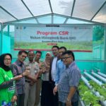 Bank DKI Resmikan Kebun Hidroponik dan Bantu YPAC