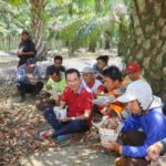Hingga Usia 66, Rudianto Tjen Konsisten Perjuangkan Kepentingan Petani Sawit