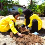 Anggota tim Kepedulian Masyarakat Universitas Indonesia menanam cemara laut dalam rangka revitalisasi Pantai Mapak Indah di Lombok Barat, Nusa Tenggara Barat.