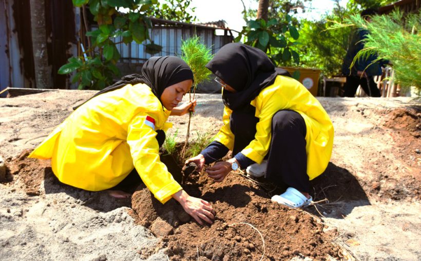 Anggota tim Kepedulian Masyarakat Universitas Indonesia menanam cemara laut dalam rangka revitalisasi Pantai Mapak Indah di Lombok Barat, Nusa Tenggara Barat.