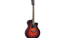 Gitar Yamaha APX 500