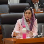 Novita Hardini Desak Pemerintah Pertimbangkan Kenaikan Tarif PPN 12 Persen Demi Lindungi UMKM