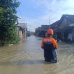 Kali Lamong dan Kali Surabaya Meluap Hektaran Sawah Hingga Ratusan Rumah di Gresik Terendam 