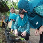 Harga Cabai di Trenggalek Melonjak, Novita Hardini Bagikan Ratusan Benih Cabai & Dorong Masyarak...