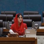 Novita Hardini Desak Kementerian Ekraf Siapkan Agenda Lebih Besar Untuk Lindungi Industri Kreatif