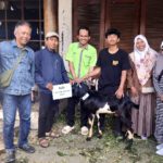 Idul Adha 1446 H, Ukhuwah Jurnalis Bali Potong Hewan Kurban
